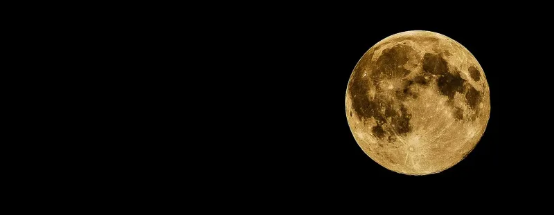 Cuando la luna guía la azada: agricultura biodinámica para la huerta levantina