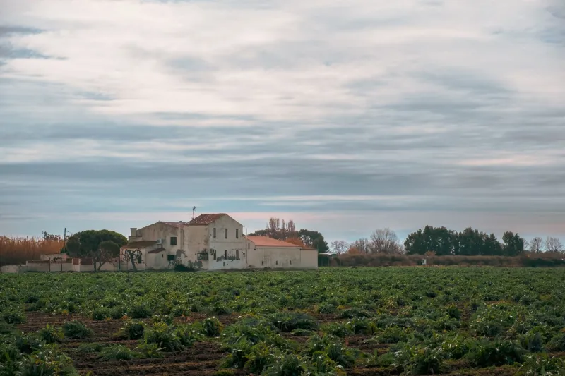 Del cielo a la cisterna: aprovecha el agua de lluvia en tu explotación ecológica levantina