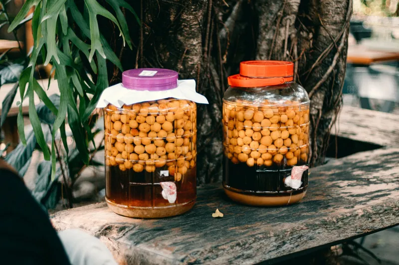 Fermentación al servicio de la tierra: elabora tus propios biofertilizantes con residuos de la huerta levantina