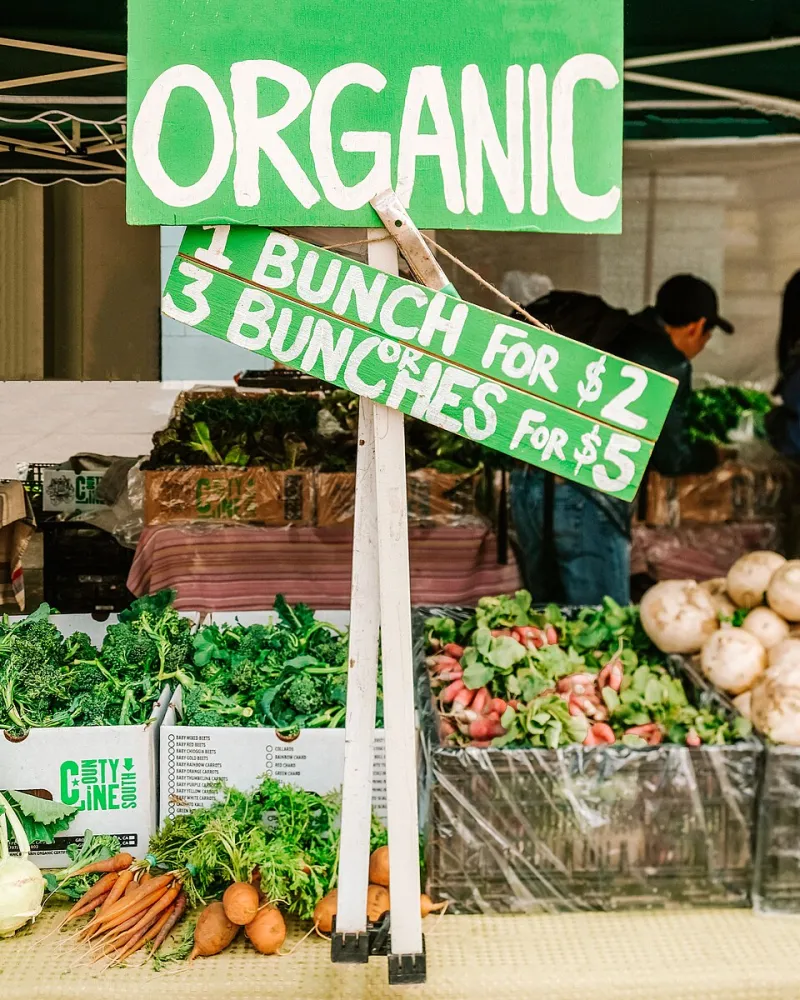 Tejiendo comunidad: el poder de las redes directas entre agricultores ecológicos y consumidores en el Levante