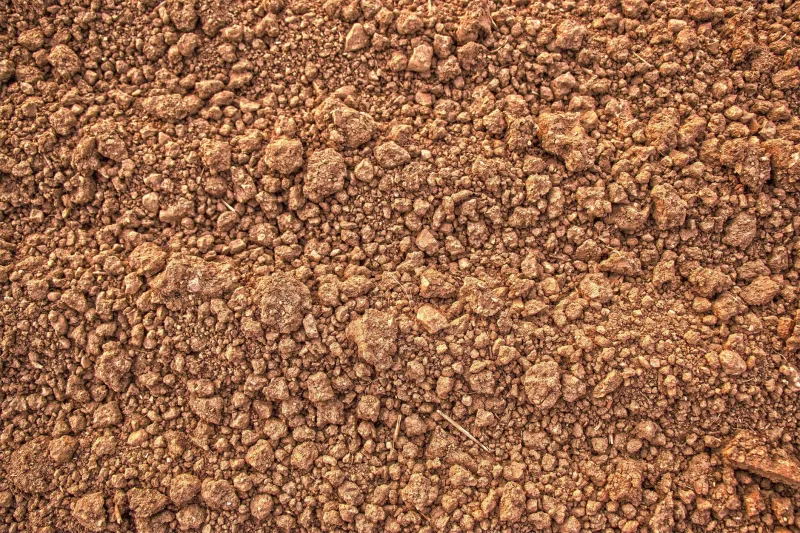 Tierra viva en tres temporadas: protocolo para regenerar parcelas agotadas en el Levante