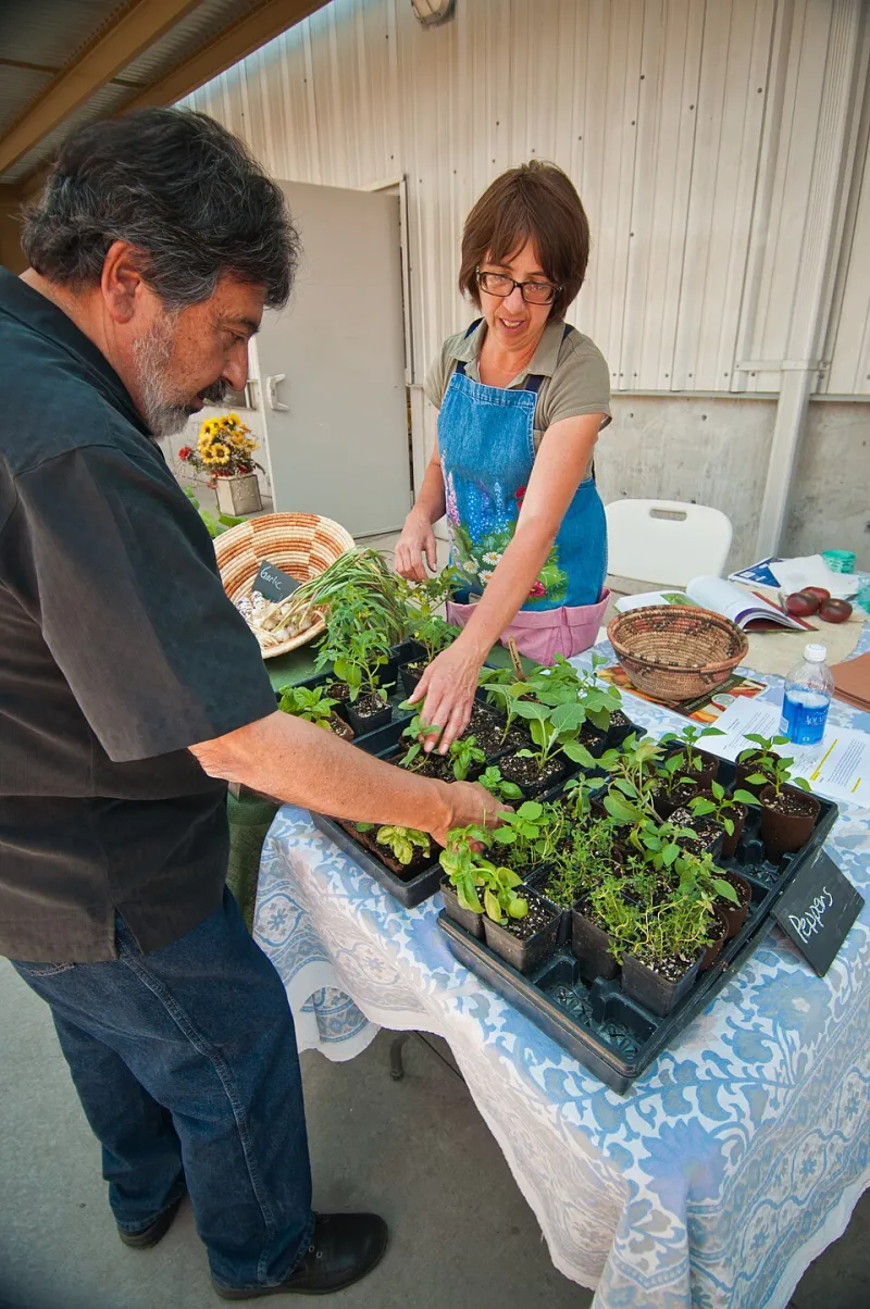 Semillas que no deben perderse: guía para recuperar y cultivar las variedades autóctonas del Levante
